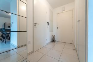 Appartements Appartement idealement situe : photos des chambres