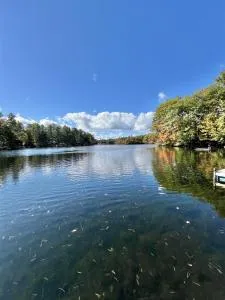 SHURIKEN SHORES LIMIT 5 villa - 刘易斯顿