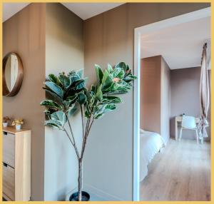Appartements Chez Matias I T3 I Ville-la-Grand : photos des chambres