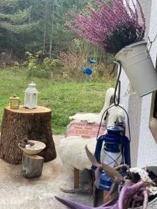 Jozin put -planinska kuća - Rudo Polje