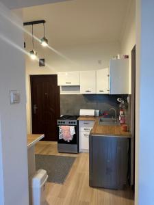 Piękny domek w Borzechowie