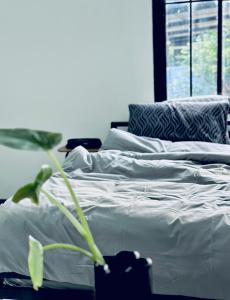 NiTi house