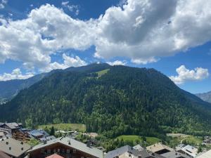 Appartements Appt. central a Chatel - Parking, WIFI, Animaux admis, 4 pers. - FR-1-198-176 : photos des chambres