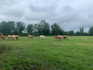 Fort View accommodation lisacul