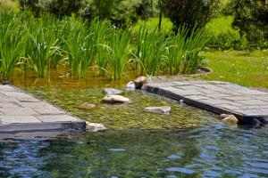 Villa Casale Enrica con Piscina Bio Lago