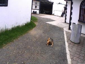 Casa Principal Vintage Rancho El Plantel