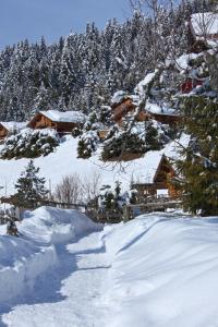 Chalets Chalet Vardasse : photos des chambres