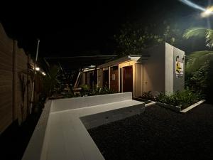 Tortuguero7 lake view