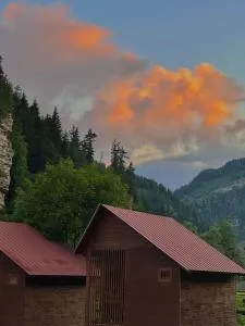 Kvela Cottage - ყველა კოტეჯი - Bashkʼo