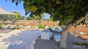 Trulli Desideria
