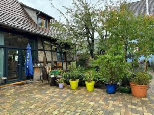 Maisons de vacances Le Refuge du 55 : photos des chambres