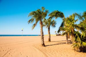 Appartements Entre mer, riviere et montagne f2 avec terrasse :) : photos des chambres