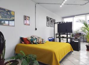 Flat Apartment in Downtown Xalapa Veracruz