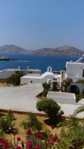 Despina's Mare Paros Greece