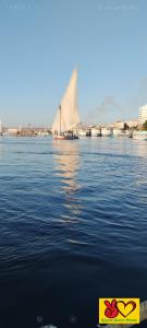 Nubian Adventures - Felucca from Aswan to Kom Umbu