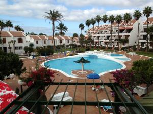 Cool Duplex in Playa las Americas