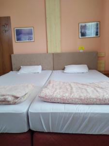Double Room with Private Bathroom room in Hostel Bata