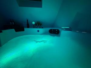 LE NID - Charmante petite maison avec balnéo