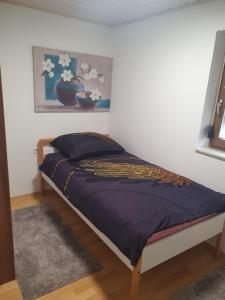 Ferienwohnung in Bad Schussenried