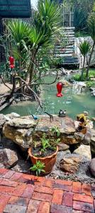 Cabaña en el arbol La Calera
