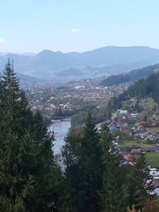 На Березові