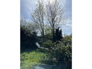 Hennesee Chalet Comfortable holiday residence