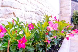 Lancien four à pain BY PRIMO C0NCIERGERIE