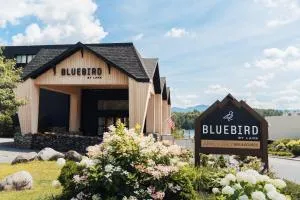 Bluebird Lake Placid - Paul Smiths