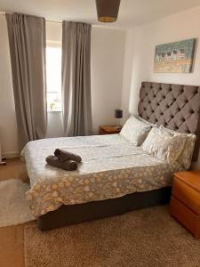 Cardiff Bay, City centre apartment