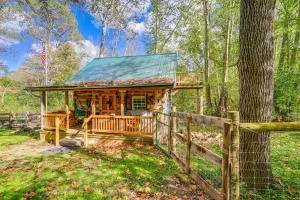 9 Mi to Creeper Trail Woodsy Abingdon Cabin - Abingdon
