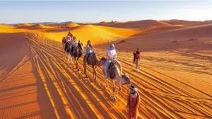 Aicha Luxury Camp - Merdoni