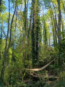 Casa Bosque Villarrica