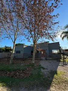 La Acacia. - Cucullú