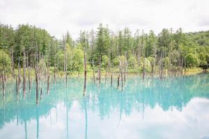 青い池まで車で20分Biei Breeze Reserve