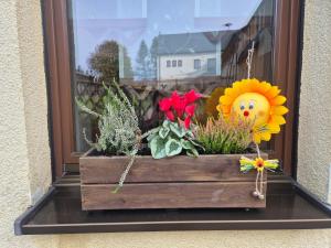 Ferienwohnung am Hammerberg