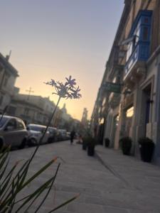 Cozy, modern and welcoming