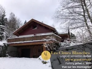 LES CIMES BLANCHES CLEDICIHOME Chalet 10 pers SPA & Grand terrain 4 MINUTES DES PISTES - Wildenstein