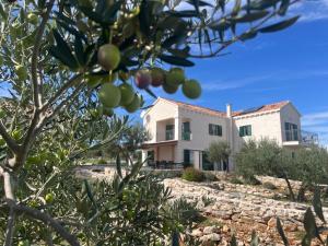 Villa Luisa Pucisca - 2 Häuser, 6 Schlafzimmer Insel Brac - Pool, Grill, Kamin, Tischtennis, Boccia