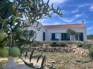 Villa Luisa Pucisca - 2 Häuser, 6 Schlafzimmer Insel Brac - Pool, Grill, Kamin, Tischtennis, Boccia