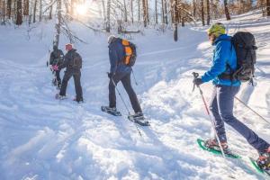 Appartements Confort entre lac et montagne : photos des chambres