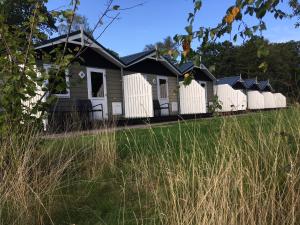 Vakantiepark Witterzomer Assen