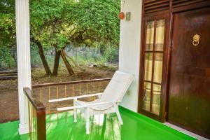 Sigiri Elephant View Guest
