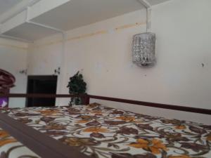 Backpackers Hostel