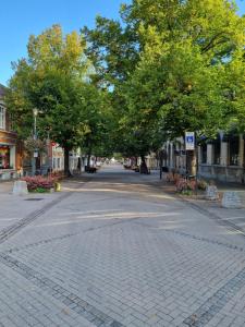 Brygga B&B Trondheim sentrum, privat rom i vårt hjem