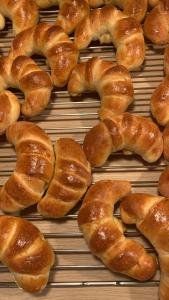 Brygga B&B Trondheim sentrum, privat rom i vårt hjem