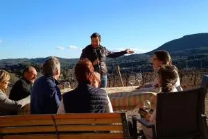 Enoturisme a Cal Martí amb el celler Joan Grill - Querol