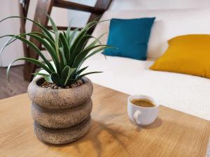 Appartements Duplex - Proche Gare & Centre : photos des chambres