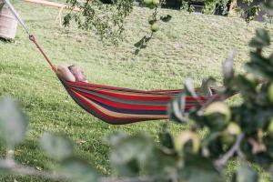 Bio- und Vitalbauernhof Bacherhof