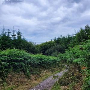 The Little Island Boutique Motel