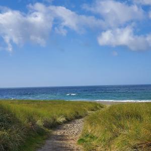 The Little Island Boutique Motel